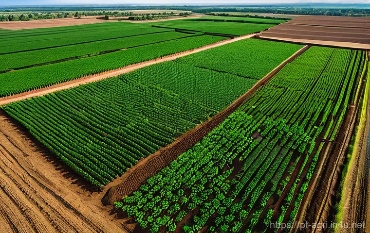 농업 국제 협력 - Harmony of Tradition and Technology in Global Agriculture**

A vibrant, panoramic view of a fertile ...