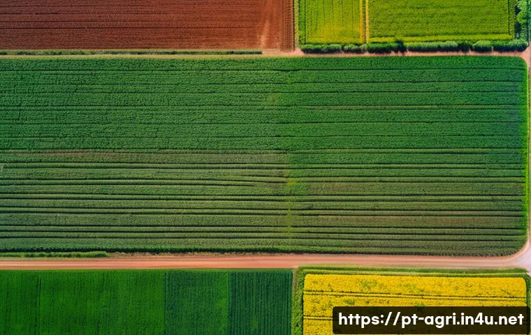 7 técnicas inovadoras para reduzir custos na produção agrícola e aumentar seus lucros 3 농업 생산 비용 절감 기술 관련 이미지 1