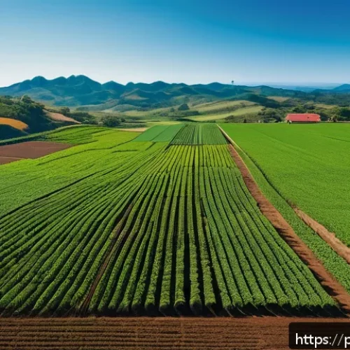 Home 32 농업 환경 보호 기술 연구 - A modern Brazilian farm landscape featuring precision agriculture technology: a large field with hea...