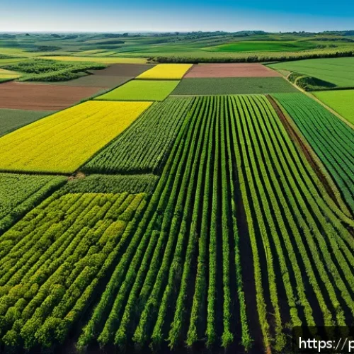 Home 30 농업 관련 도서 및 논문 - A vibrant, expansive Brazilian farm landscape featuring sustainable agriculture technology: fields w...