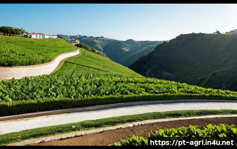 Como Encontrar Apoio Público para a Propriedade Rural e Avaliar se o Investimento Compensa 4 농업 관련 정부 지원금 관련 이미지 2